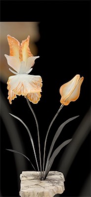 Iris-Orange.jpeg