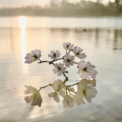 Apple_Lake.jpeg